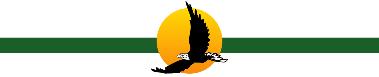 Bald eagle sun logo Scott's Teambuilding